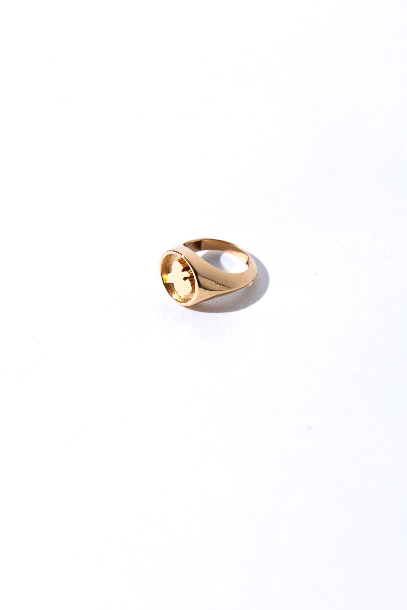 Designed by Novelist Studios x Dhooge office to create a perfect chevalier Bird ring 1