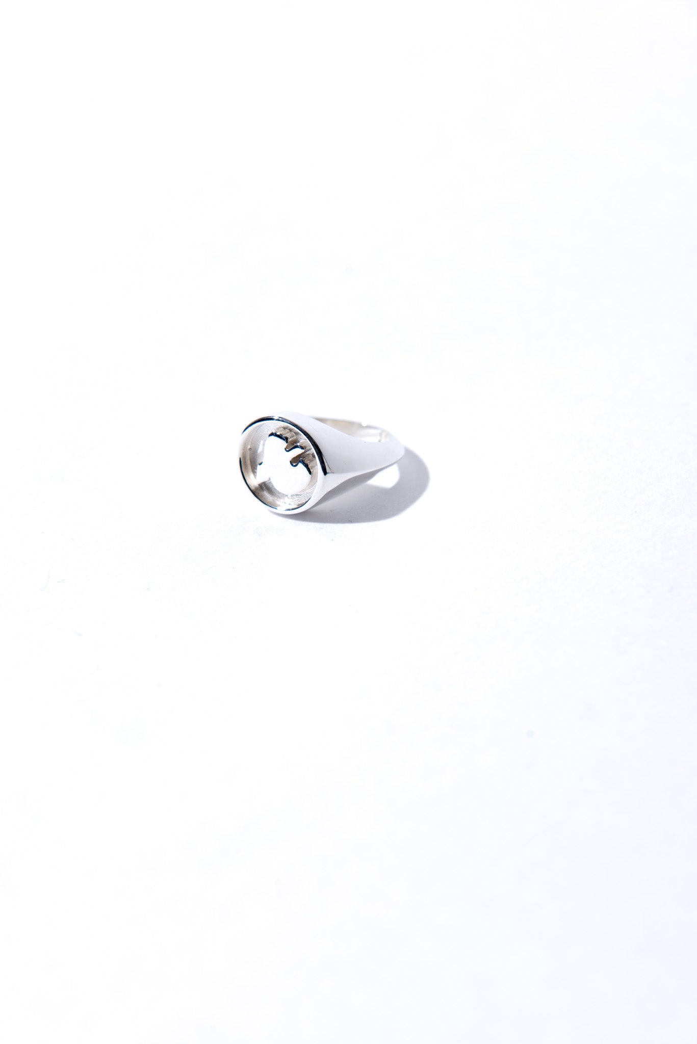 Designed by Novelist Studios x Dhooge office to create a perfect chevalier Bird ring 1